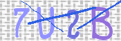 キャプチャ画像