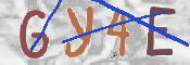 キャプチャ画像