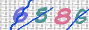キャプチャ画像
