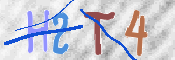 キャプチャ画像