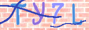 キャプチャ画像