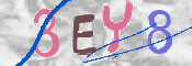 キャプチャ画像