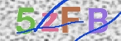 キャプチャ画像