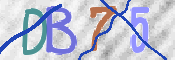 キャプチャ画像