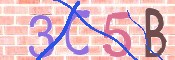 キャプチャ画像