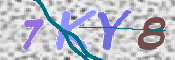 キャプチャ画像