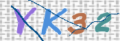キャプチャ画像