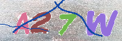 キャプチャ画像