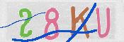 キャプチャ画像