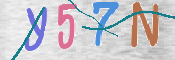 キャプチャ画像