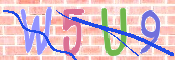 キャプチャ画像
