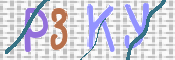 キャプチャ画像