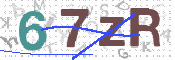 キャプチャ画像