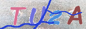 キャプチャ画像