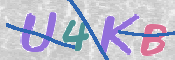 キャプチャ画像