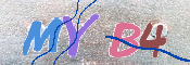 キャプチャ画像