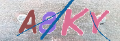 キャプチャ画像