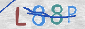 キャプチャ画像