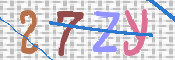 キャプチャ画像