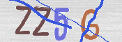 キャプチャ画像