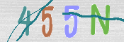 キャプチャ画像