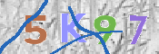 キャプチャ画像