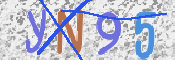 キャプチャ画像