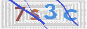 キャプチャ画像