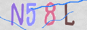 キャプチャ画像