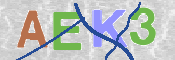 キャプチャ画像