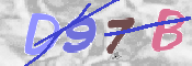 キャプチャ画像