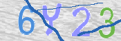 キャプチャ画像