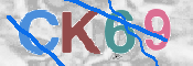 キャプチャ画像