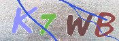 キャプチャ画像