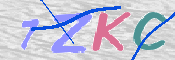キャプチャ画像
