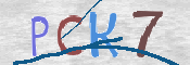 キャプチャ画像