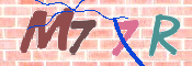 キャプチャ画像