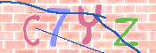 キャプチャ画像