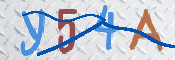 キャプチャ画像