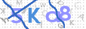 キャプチャ画像