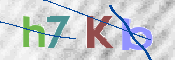 キャプチャ画像