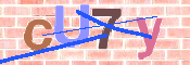 キャプチャ画像